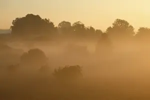 Backlit Nature Photography Prints: Fog over the meadows against the light