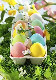 No People Food Scene Prints: Food, Colored Easter Eggs in an egg box on grass