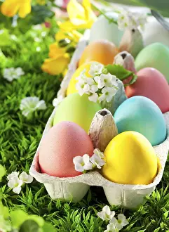 Easter Egg Display Prints: Food, Colored Easter Eggs in an egg box on grass