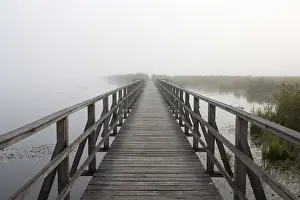 Wetland Biotope Images Prints: footbridge