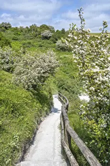 English Channel Coastline Prints: Footpath along the chalk cliffs of Dover