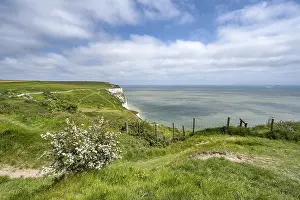 English Channel Coastline Prints: Footpath along the chalk cliffs of Dover