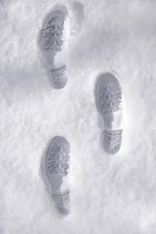 Snowy Footprints Prints: Footprints in the snow
