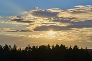 Atmospheric Evening Light Shot Prints: Forest, clouds, sky, sunset, summer
