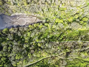 British Countryside From Above Prints: Top Down over Forest from a drone