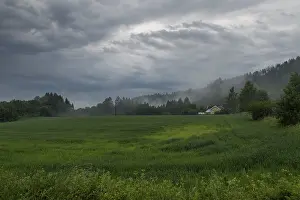 European Forest Landscapes Prints: Forest edge and field, low clouds