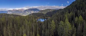 Empty Forest Landscape Photo Prints: Forest around the Grunsee