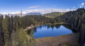 Europe Aerial Photography Prints: Forest around the Grunsee
