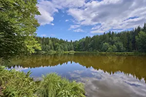 Austrian Countryside Landscape Prints: Forest lake, reflection, sky, clouds