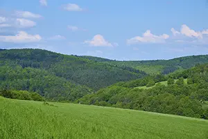 Forest Landscape Germany Prints: Forest landscape, meadow, clouds