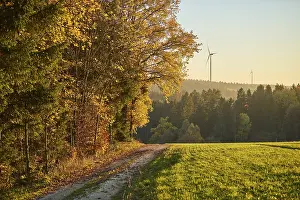 Upper Palatinate Nature Scene Prints: Forest path on the edge of the forest in autumn