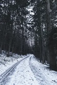 Austrian Countryside Landscapes Prints: Forest path with snow, Ternitz
