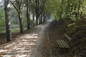 German Federal Republic Trails Prints: Forest trail, forest, landscape
