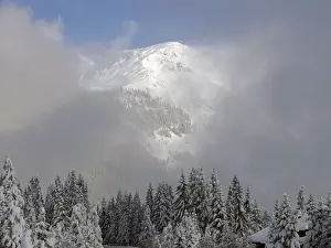 Uninhabited Mountain Scenery Prints: Forest, tree, trees, winter, snow