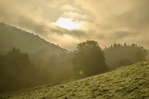 Misty German Countryside Prints: Forest, valley, meadow, clouds