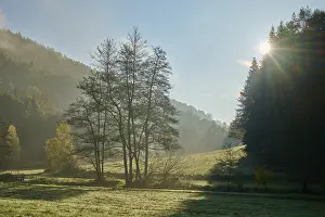 Sunrise In Europe Prints: Forest, valley, meadow, clouds