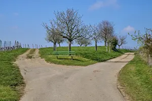 Black Forest Scenery Prints: Fork, bench, tree, spring, Feldberg