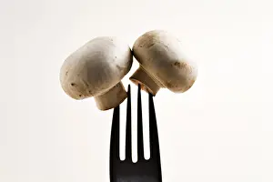Button Mushroom Nutrition Prints: Fork holding two button mushrooms