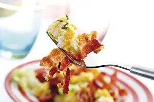 Food Still Life Studio Shot Prints: Fork with scrambled egg, bacon and chives