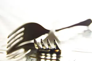 Empty Dish Studio Photo Prints: Two forks