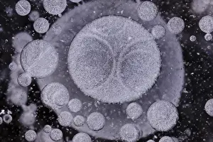 Northern Germany Winter Scene Prints: Forms of ice in a puddle, ice crystals