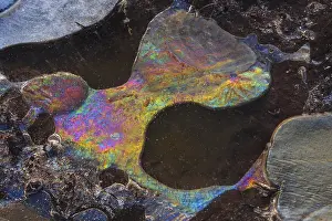 Natural Preserve Europe Prints: Forms of ice in a puddle, ice crystals