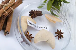 Lucky Charm Cookies Prints: Fortune cookie