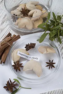 Fortune Cookie Prints: Fortune cookie