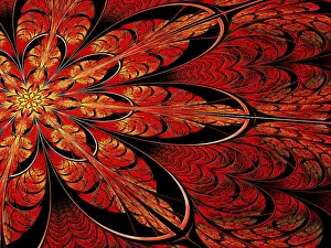 Colorful Decorative Item Prints: Fractal flower - abstract computer-generated image