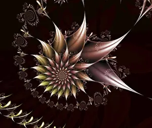 Fractal Design Prints: Fractal object