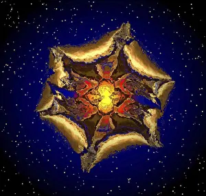 Geometric Shape Prints: Fractal Print: Geometric Patterns in Nature