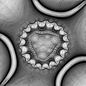 Fractal Geometry Prints: Fractal object