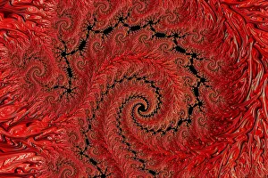 Framed Print : Fractal Spiral Print Framed Print : Fractal Spiral Print