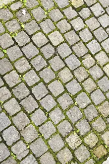 Images Dated 22nd June 2024: Fragment of stone path among the grass