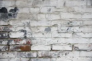 Historic Quarter Image Prints: Fragment of whitewashed old brick wall