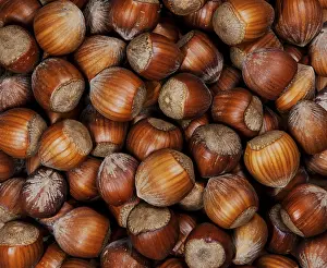 Flat Lay View From Above Prints: Full Frame of organic hazelnuts with nutshell