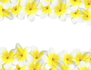 Close Up Plant Detail Prints: Frangipani background with copyspace