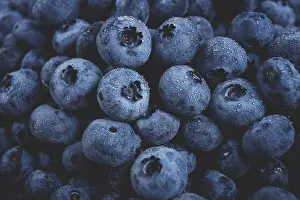 Images Dated 11th August 2024: Blueberry Print, Close-Up