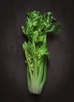 Dark Background Celery Prints: Fresh bunch of celery, top view