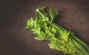Raw Food Prints: Fresh bunch of celery, top view
