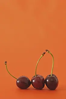 Stone Fruit Nutrition Prints: Three fresh cherries