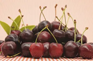 Studio Shot Of Cherries Prints: Fresh cherries