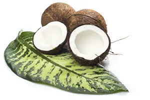Uninhabited Island Scene Prints: Fresh coconuts and green tropical leaf
