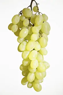 Studio Shot Fruit Photography Prints: Fresh grapes