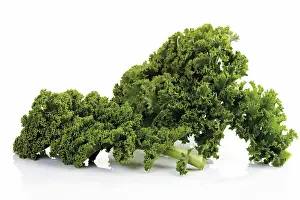 Fresh Green Vegetables Prints: Fresh green cabbage