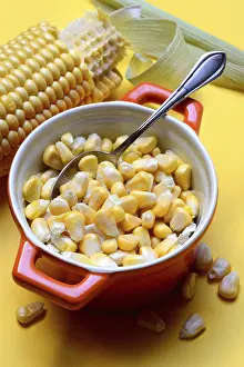 Fresh Corn Prints: Fresh maize kernels in pots and cobs