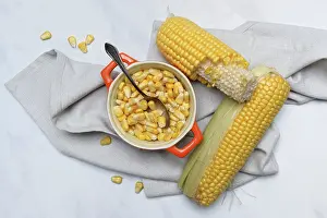 Fresh Corn Prints: Fresh maize kernels in pots and cobs