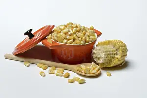 Fresh Corn Prints: Fresh maize kernels in pots and cobs