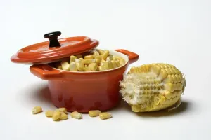 Fresh Maize Kernels Prints: Fresh maize kernels in pots and cobs