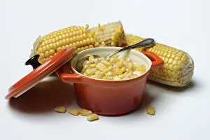 Fresh Maize Kernels Prints: Fresh maize kernels in pots and cobs